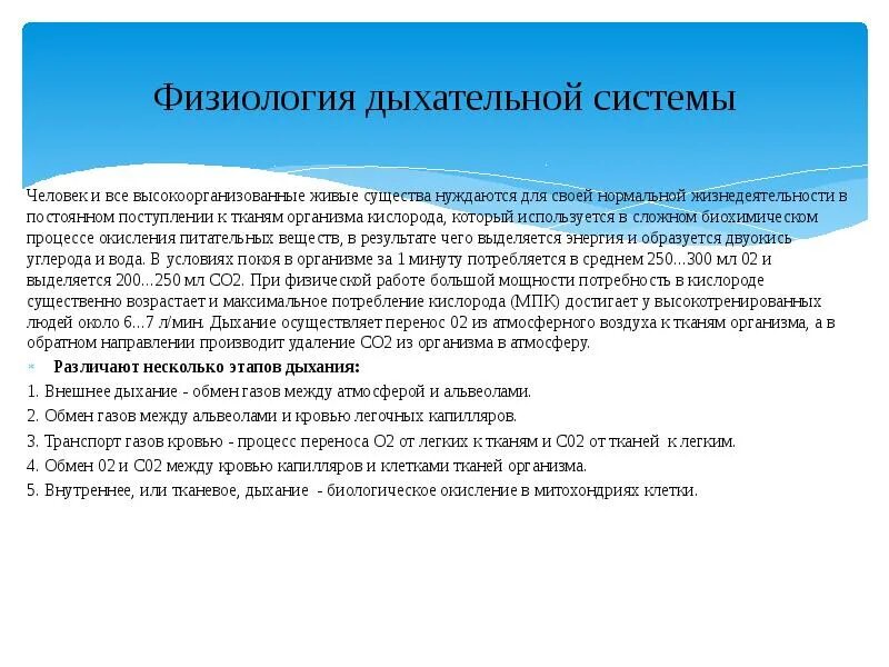 Основные стадии процесса дыхания. Физиология дыхания вдох. Физиология процесса дыхания выдох. Физиология дыхания человека. Дыхание это физиологический процесс.