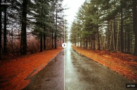 Split path