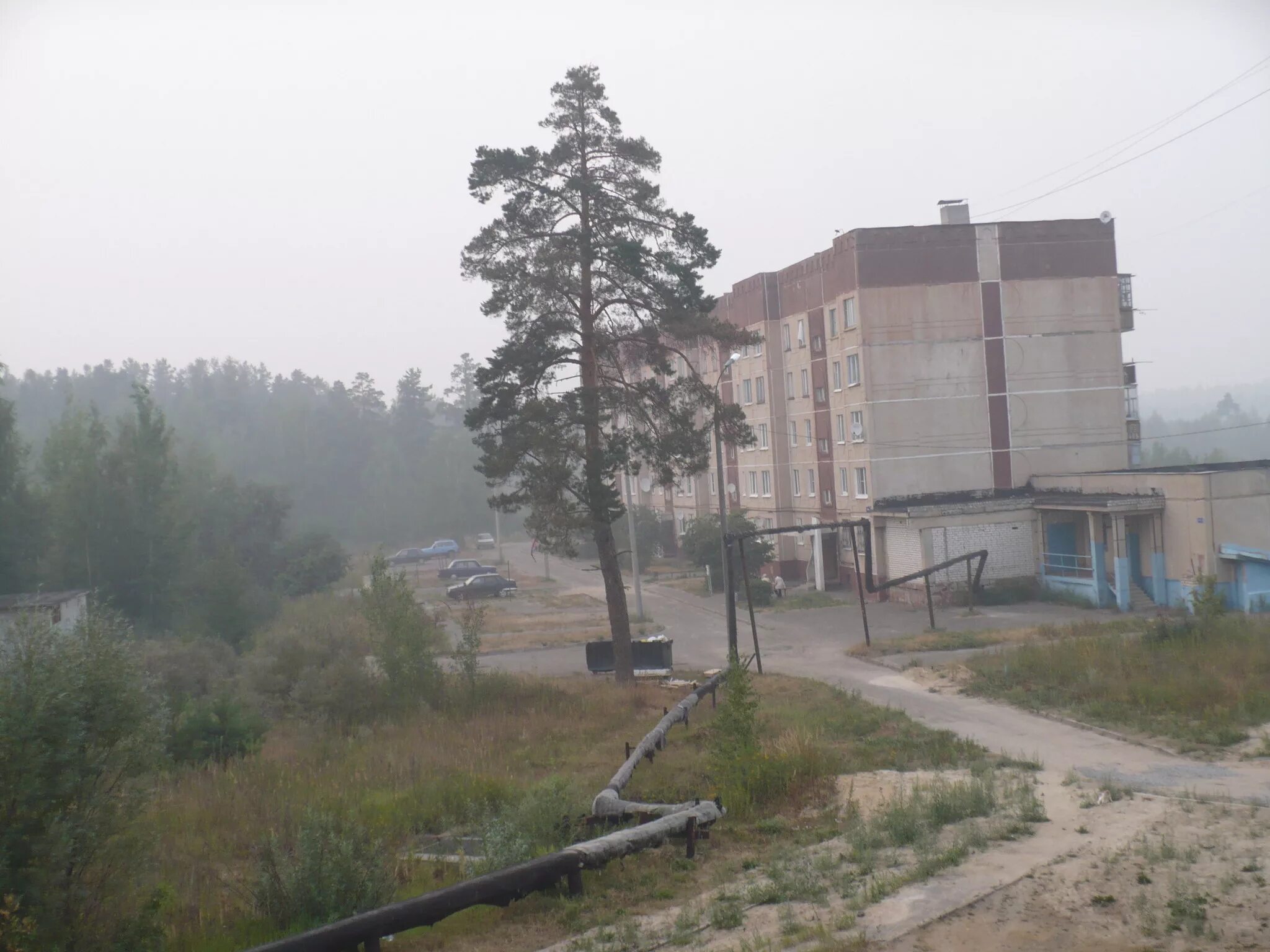 посёлок ильиногорск нижегородская. п ильиногорск нижегородская область. погода ильиногорск нижегородской на 10. посёлок ильиногорск нижегородская. ильиногорск нижегородская область.