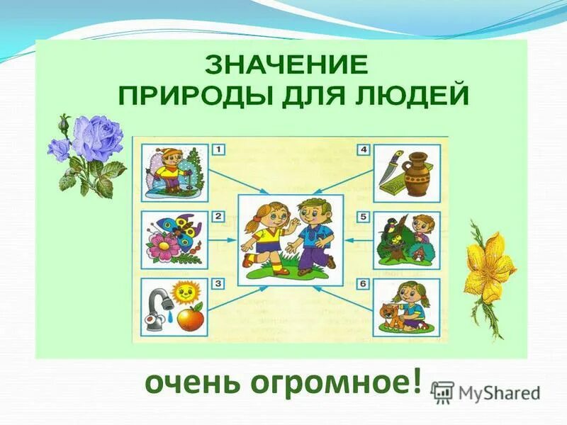 разнообразие природы. проект 3 класс. разнообразие растений 3 класс окружающий мир. презентация проект 3 класс по окружающему миру. презентация проект 3 класс по окружающему миру.