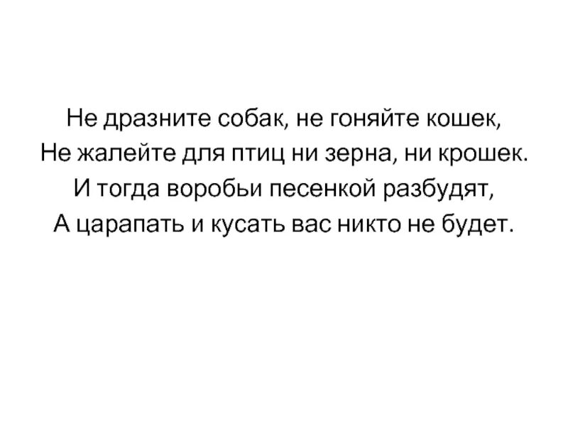 Не дразните собак. Слова не дразните собак не гоняйте кошек. Текст песни не дразните.