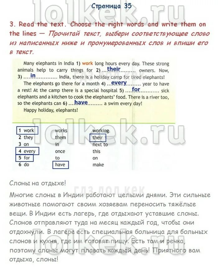 Spotlight 4 класс быкова ответы. Elephants on Holiday английский 4 класс. Английский язык 4 класс рабочая тетрадь Быкова ответы. Many Elephants in India work long hours every Day these strong animals help to carry things for.