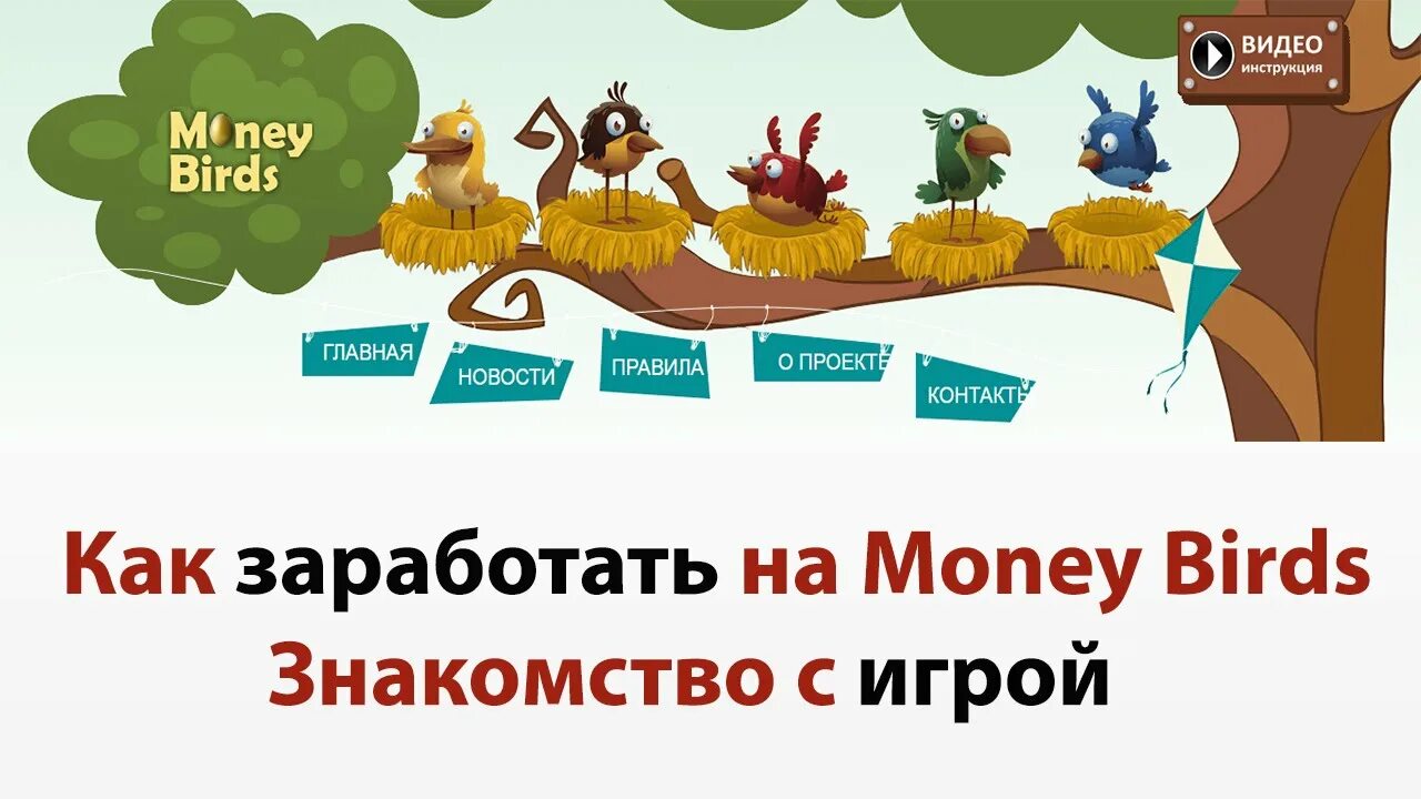 Money Birds. Money Birds заработок. Птички заработок денег. Заработок на яйцах money Birds.