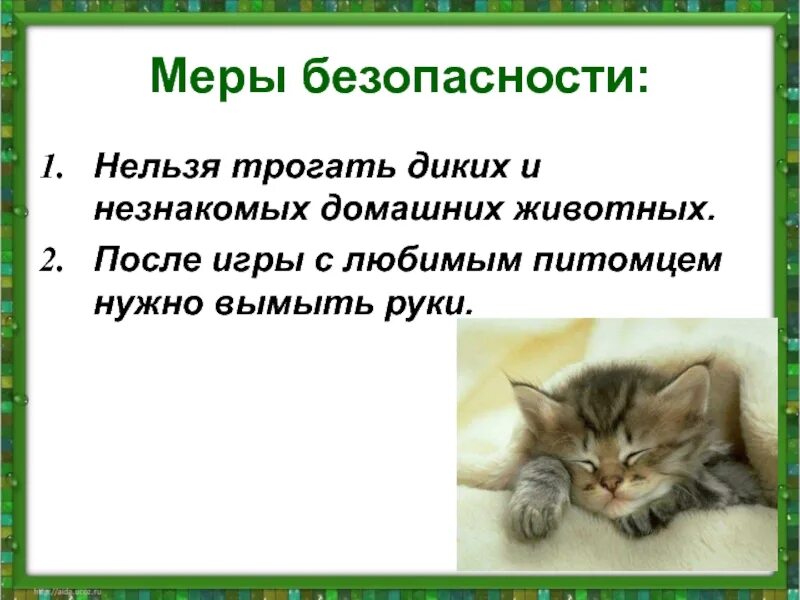 Животные и наша безопасность 3 класс. Животные и наша безопасность доклад. Проект на тему природа и наша безопасность. Животные и наша безопасность 3 класс окружающий мир.