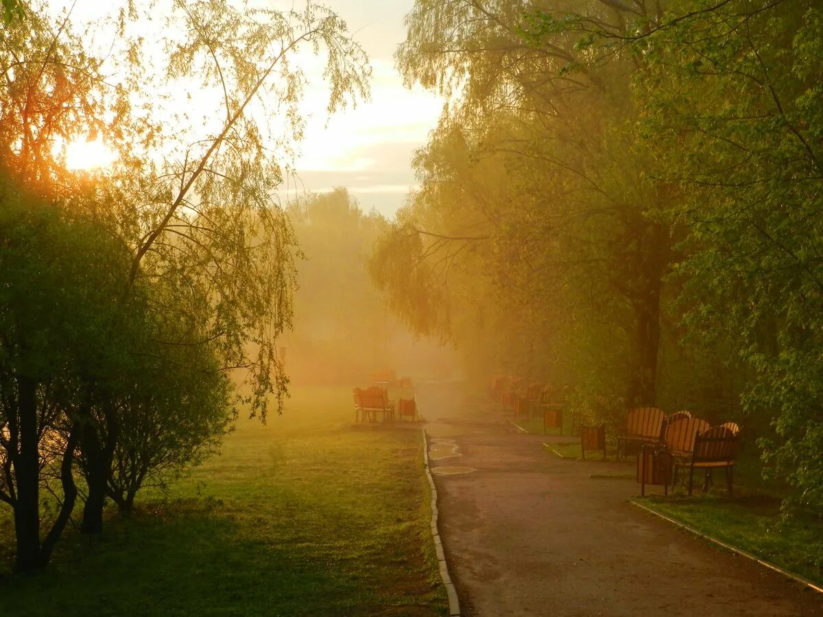 Солнечных дней в нижнем новгороде. Пейзаж утро. Летнее утро в городе. Солнечный летний день в городе. Солнечное утро в городе.