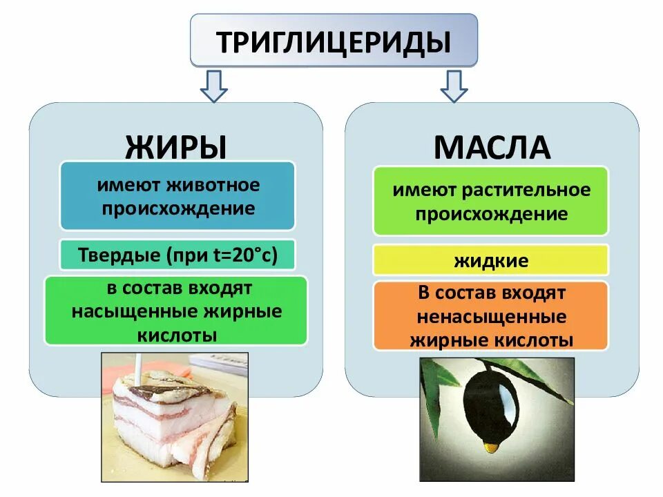 Триглицериды где