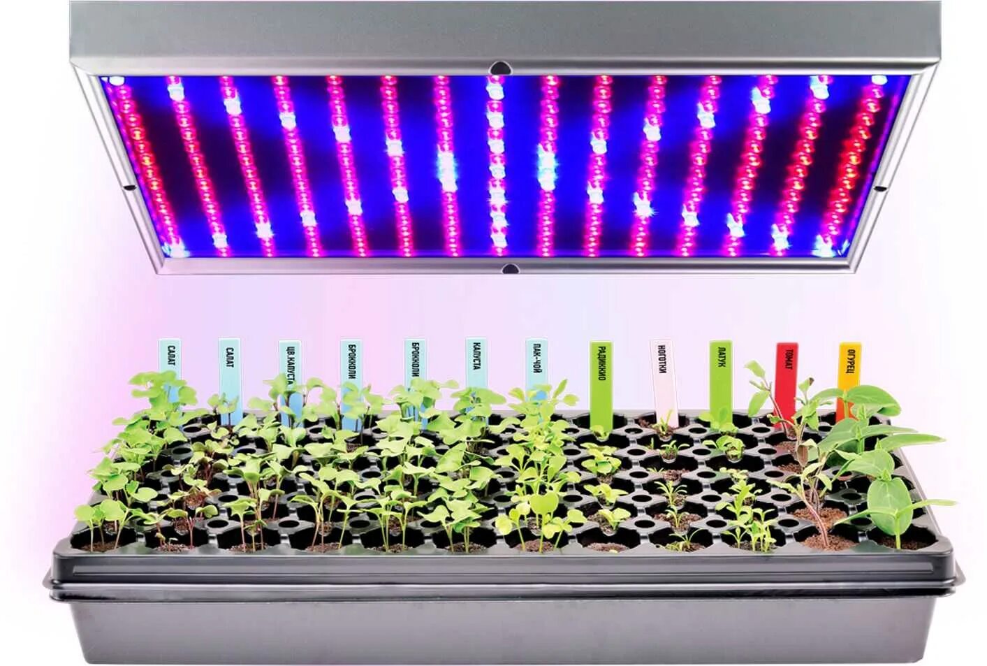 Надо ли подсвечивать рассаду. Фитолампа f4054. Фитолампа led grow Light. Лампа для рассады Солар 50 Вт. Фитолампа светодиодная д/растений е27 5вт 24шт bioгрядка.