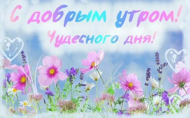 Доброе утро и отличного дня летнего. Доброе летнее утро пожелания. открытки с добрым утром и первым днем лета. доброе утро с первым днем лета.