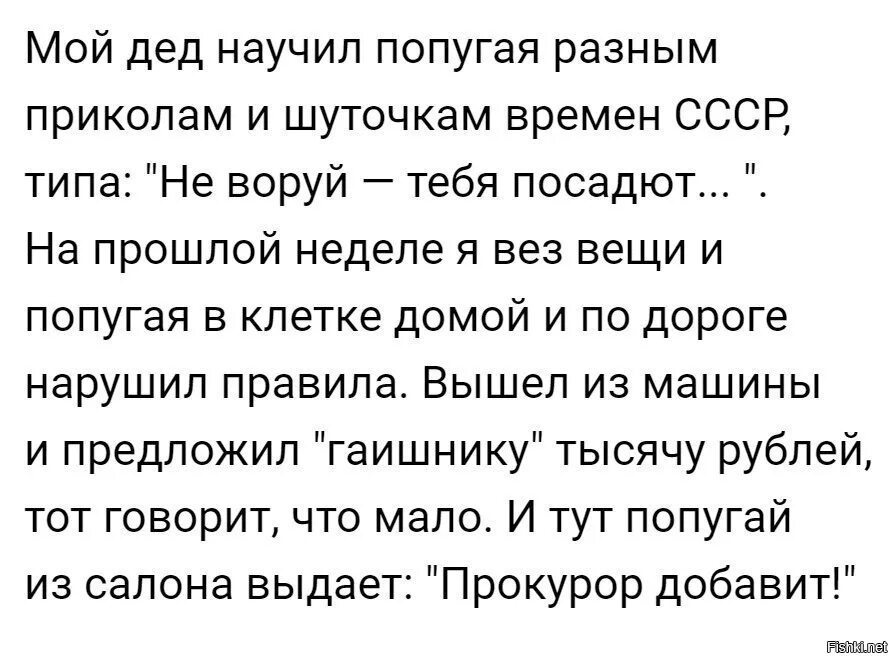 Правила как выйти за мужчину. Смешные рассказы их жизни. Смешные рассказы из жизни короткие. Смешные истории. З жизни. Забавные истории из жизни.