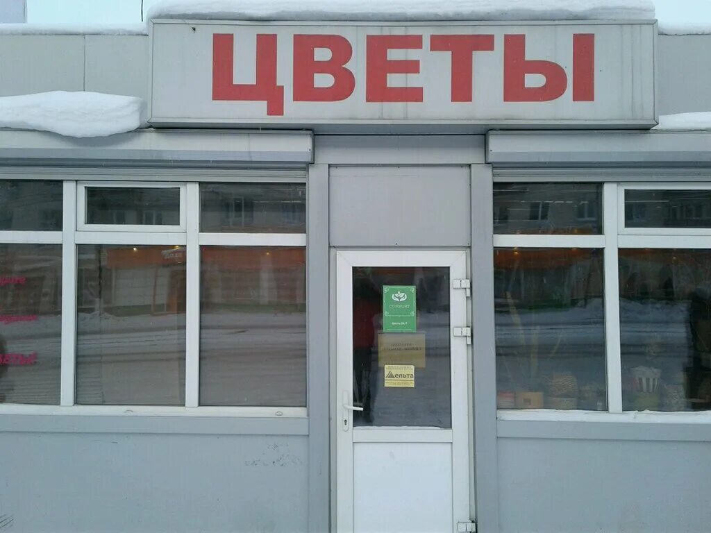 красноармейская улица 198а нижний тагил. магазин восточный нижний тагил. цветочный магазин нижний тагил. цветочный магазин нижний тагил. цветочный магазин нижний тагил.