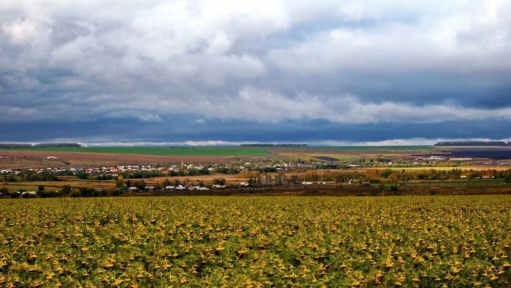 Село нова