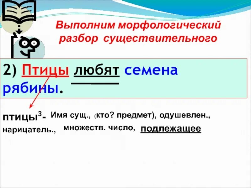 Морфологический разбор существительного птицы. Обобщение знаний об имени существительном. Обобщение знаний об именах существительных. Обобщение знаний об имени существительном 2 класс. Существительное птицы.