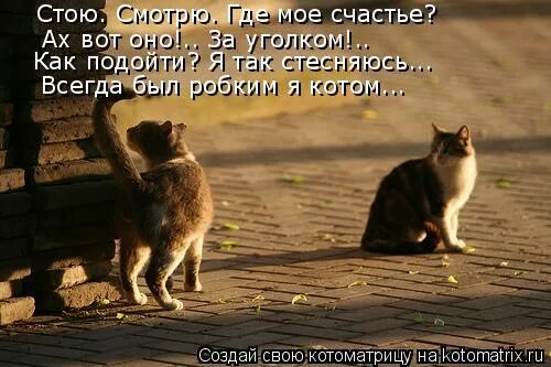 стой посмотри. благодарность вселенной. внимание дети на дороге. переходи дорогу только со взрослыми. безопасеностьна дороге.