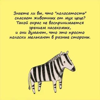 Дикие факты