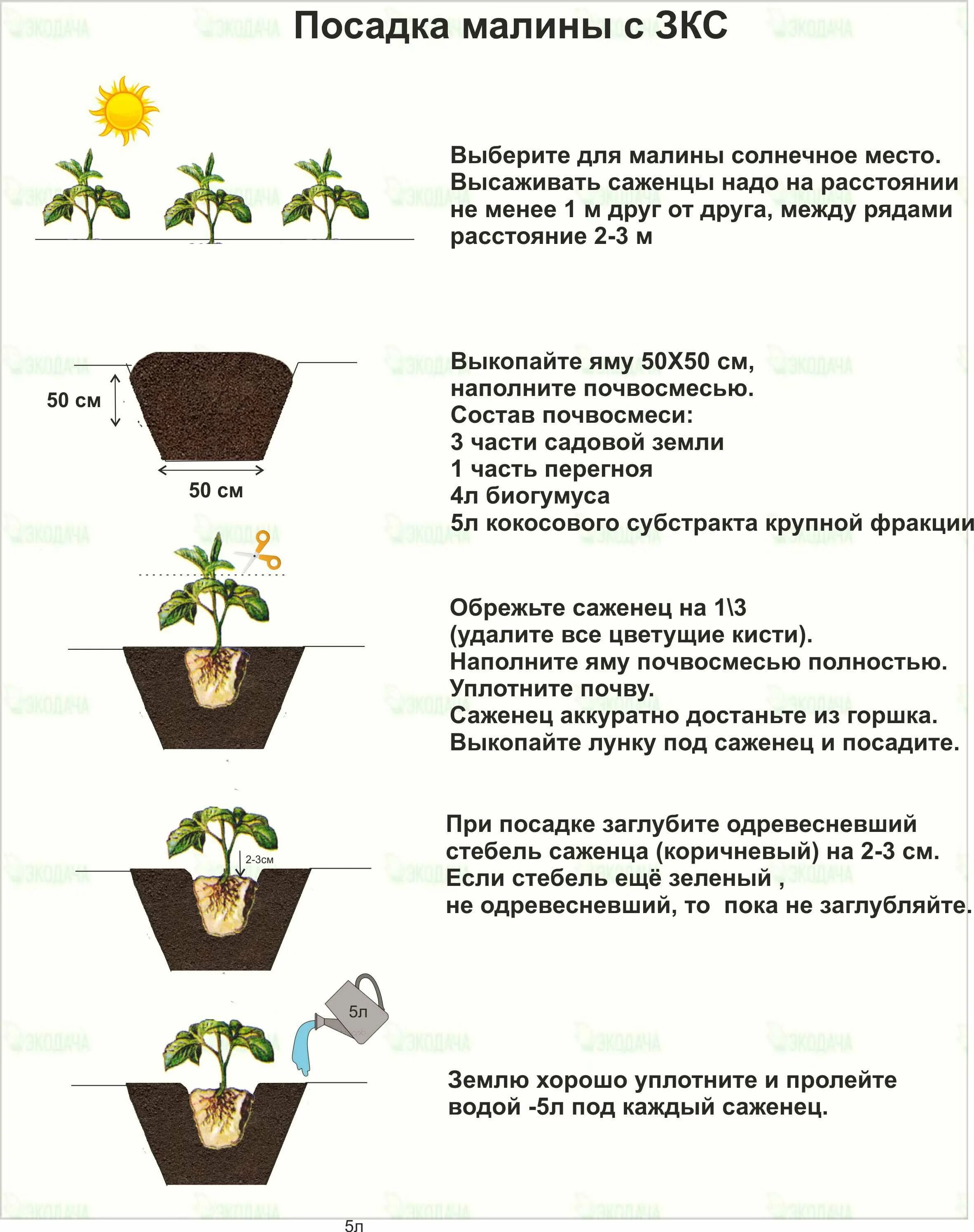 Что нужно добавить при посадке