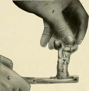 Image from page 32 of "Animal castration : a book for the use of stude...