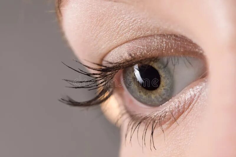 Eyes open 2 wordwall