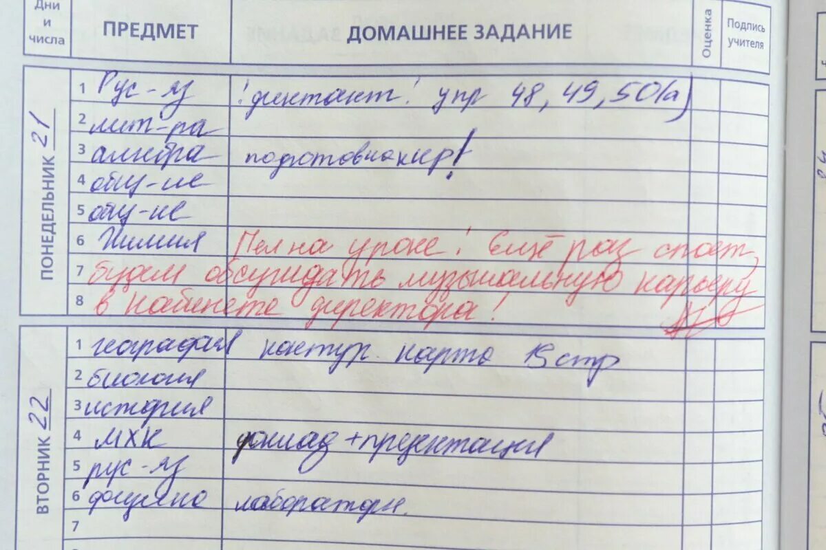 Написать ученик какой должен написать. Замечание в дневнике. Замичаничание в дневнике. Замечания учителей в дневниках. Смешные записи в дневниках.