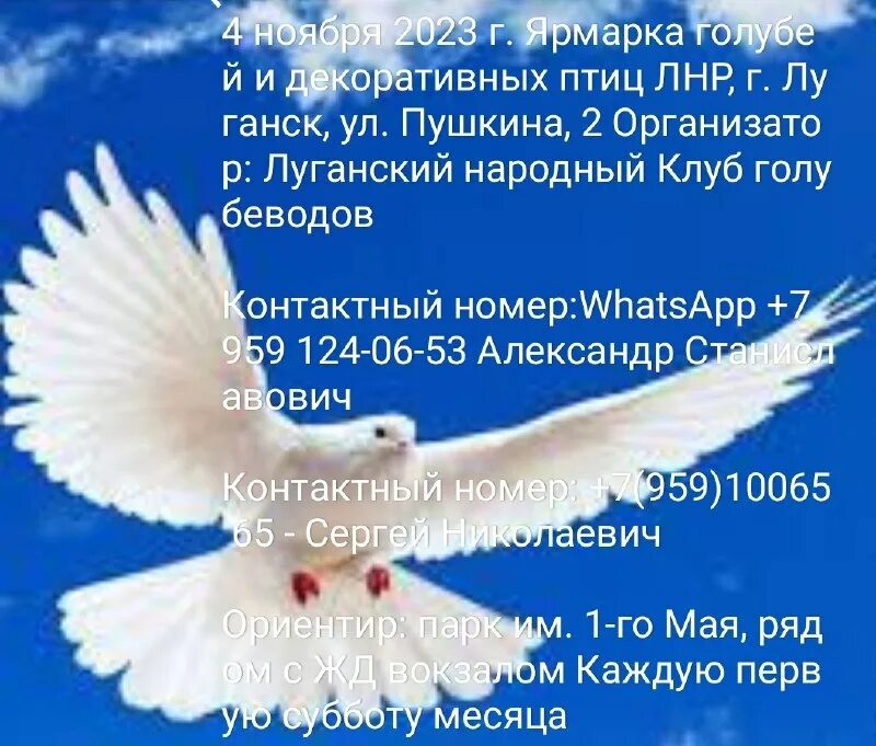 Ярмарка голубей в 2025 году. Ярмарка голубей в 2025 году