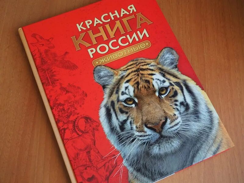 Красная книга о том. Красная книга. Красная книга России животных. Обложка красной книги России. Энциклопедия редких животных.