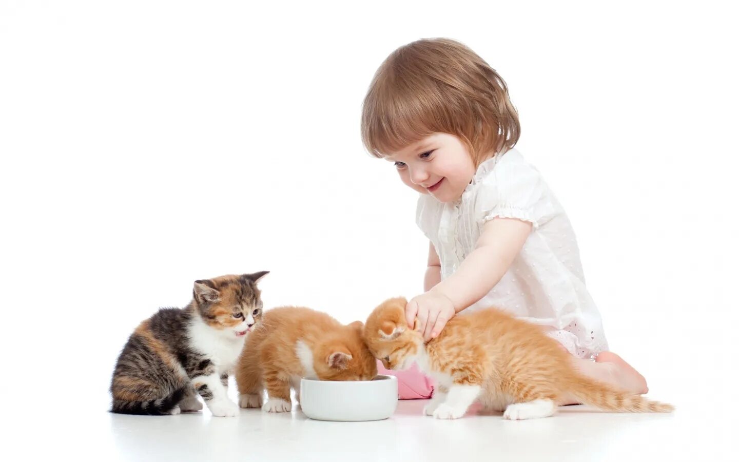 Котенок играет малыша. Забота о домашних животных. Домашние животные для детей. Кошка для детей. Малыши. Домашние животные.