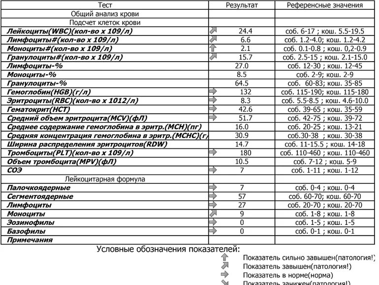 Общий анализ крови с лейкоцитарной формулой показатели. Референсные показатели анализа крови. Биохимический анализ крови референс. Общий анализ крови (ОАК) С лейкоцитарной формулой. Лейкоциты общие 3 3