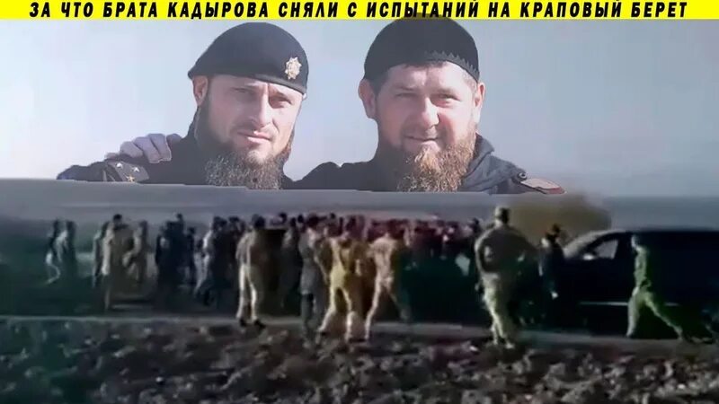 Кадыровцы краповый берет. Кадыровцы на Украине. Смелые кадыровцы. Кадыровец избил емельяненко