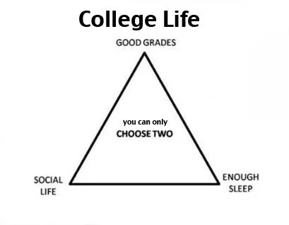 Social grade