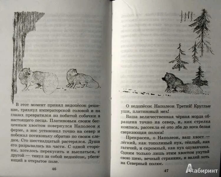 Недопёсок Наполеон 3 иллюстрации. Коваль Недопесок книга.