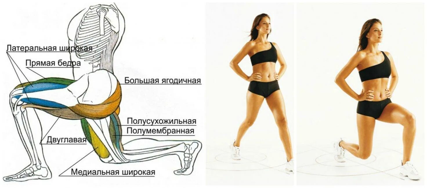 Как накачать внутренние мышцы. Упражнения для мышц бедер и ягодиц. Комплекс упражнений для мышц ягодиц и бедер. Упражнения на ягодичные мышцы. Упражнения для укрепления мышц ягодиц и бедер.