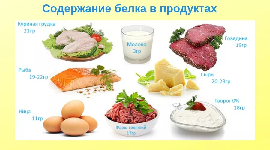 Белковые продукты. Белки продукты. Белок в продуктах. Белковая пища на перекус.