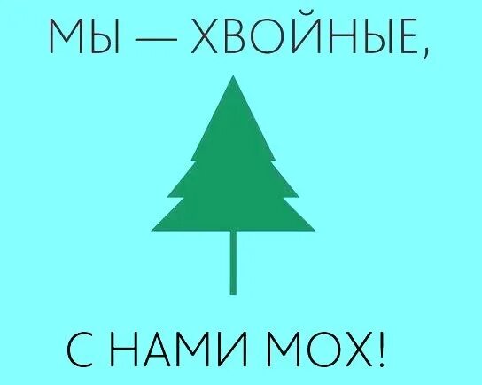 Хвойные сны. Мы хвойные с нами мох. Мы хвойные с нами мох наклейка. Мы хвойные с нами мох футболка. Мы хвойные с нами мох нашивка.