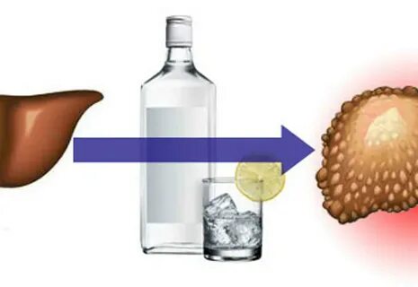 Как вода влияет на печень