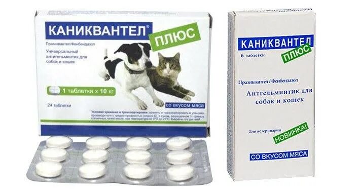 Как часто давать собаке глистогонное