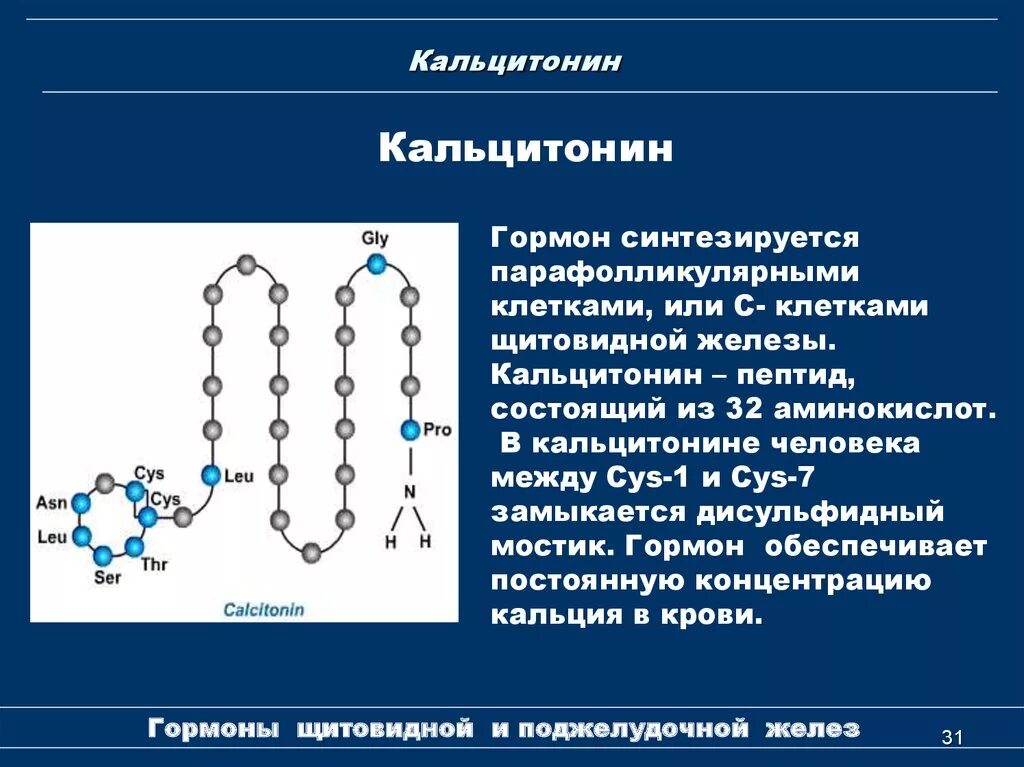 Кальцитонин 0.5 у женщины. Кальцитонин гормон щитовидной железы что это такое. Кальцитонин 6.4. Гормон щитовидной железы тиреокальцитонин:. Кальцитонин гормон химическая природа.