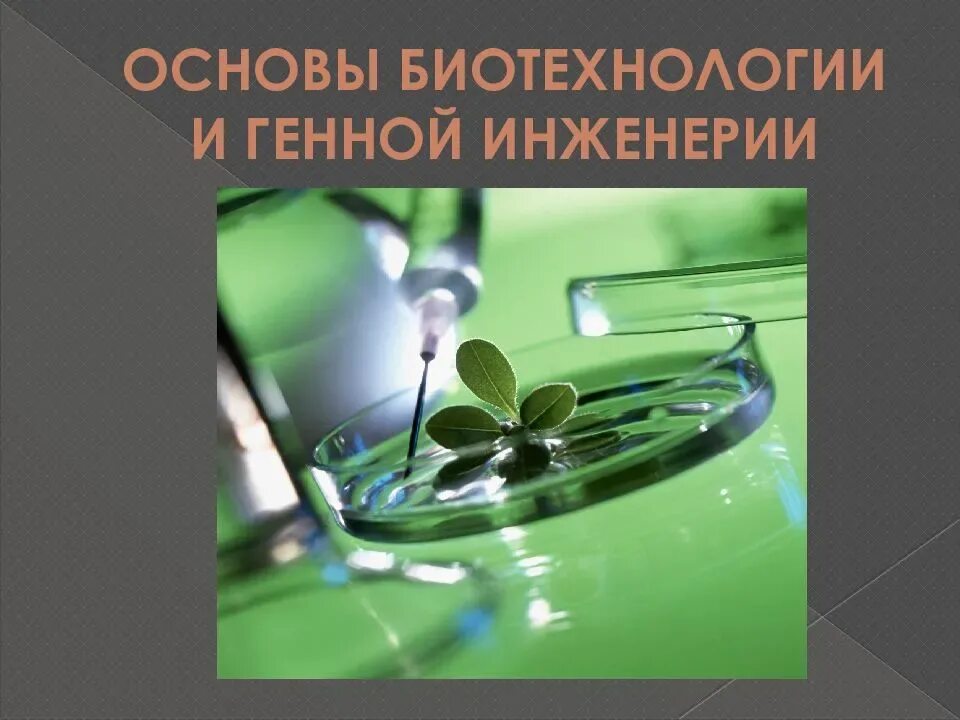 Материал биотехнологии. Генная инженерия в биотехнологии. Современные биотехнологии. Биотехнология генетика. Биотехнология это в биологии.