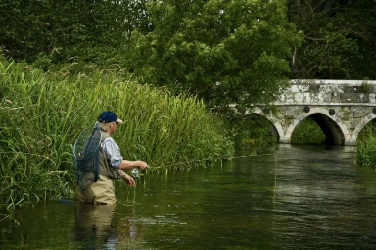 Usually in the river. Ручей в лесу. Весна прогулка на реке. Ручей джалон. Usually in the river.