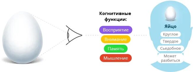 Конгитивнвные функции. Когнитивные функции. Когнитивные (Познавательные) функции. Когнитивные функции человека. Когнитивные функции внимание