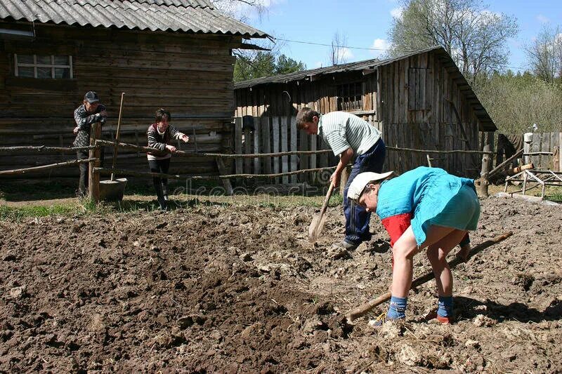 Огород в деревне весной. Деревенские люди. Люди на огороде. Тяжелый труд в деревне. Village работа