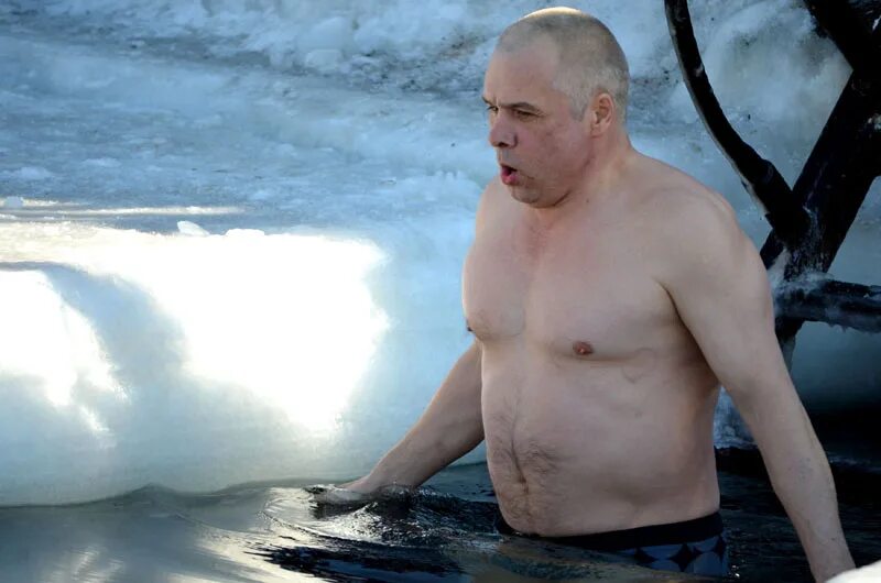 моржи владивостока