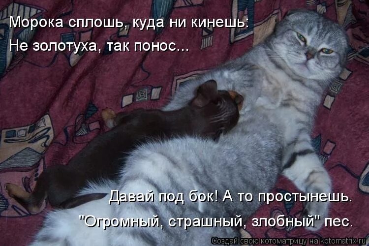 Ни кидай