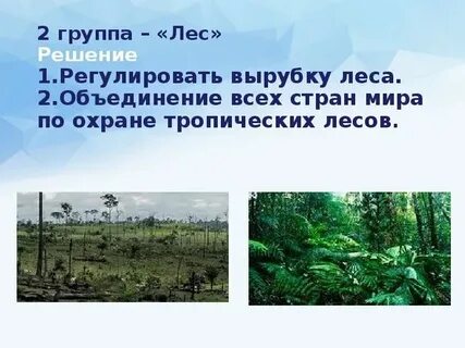 Сообщение на тему мир глазами эколога