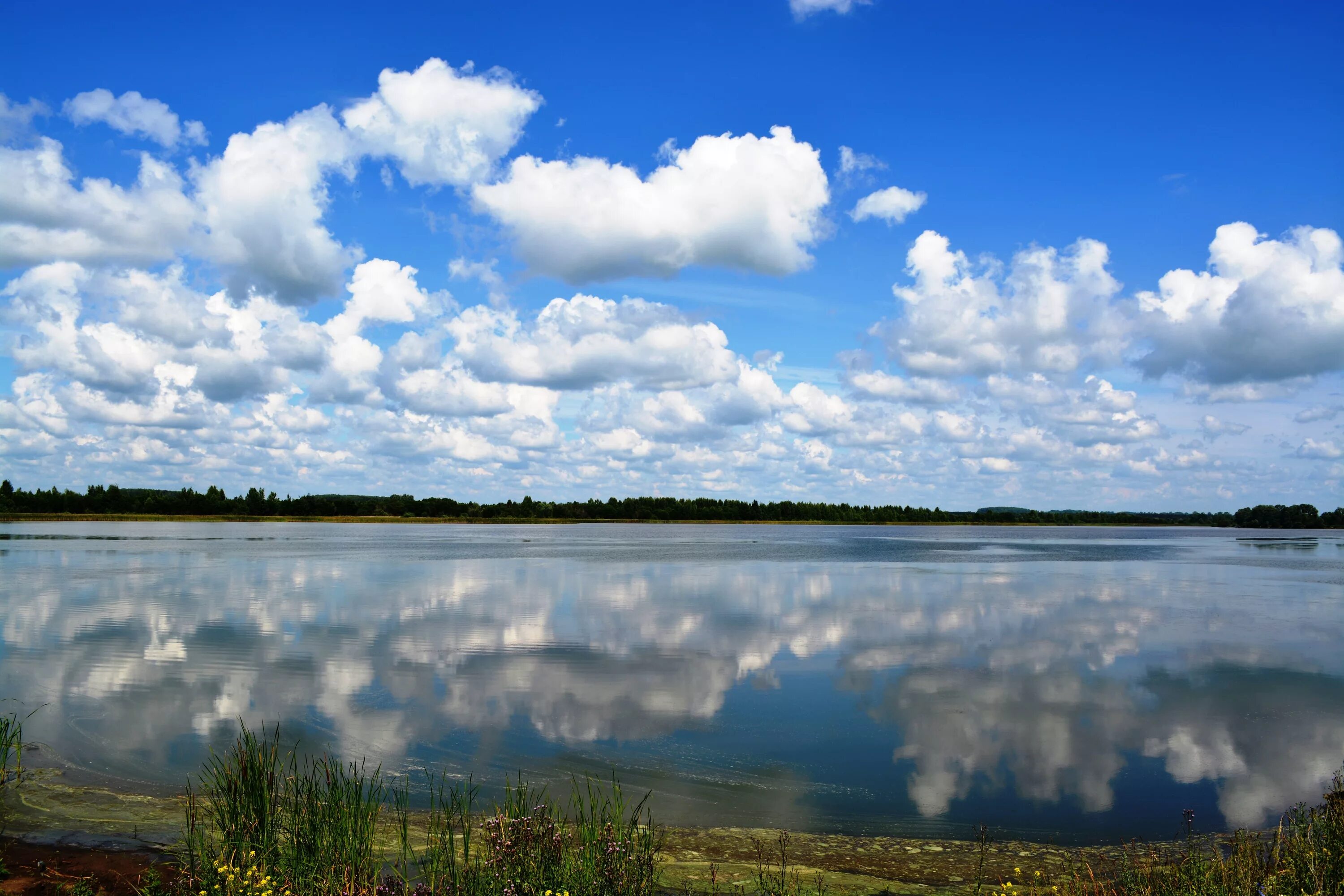 Красота воды река