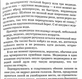 Три медведя диктант