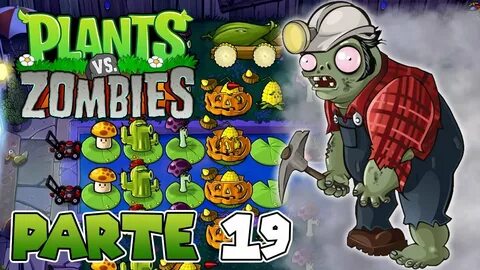 Plants 19