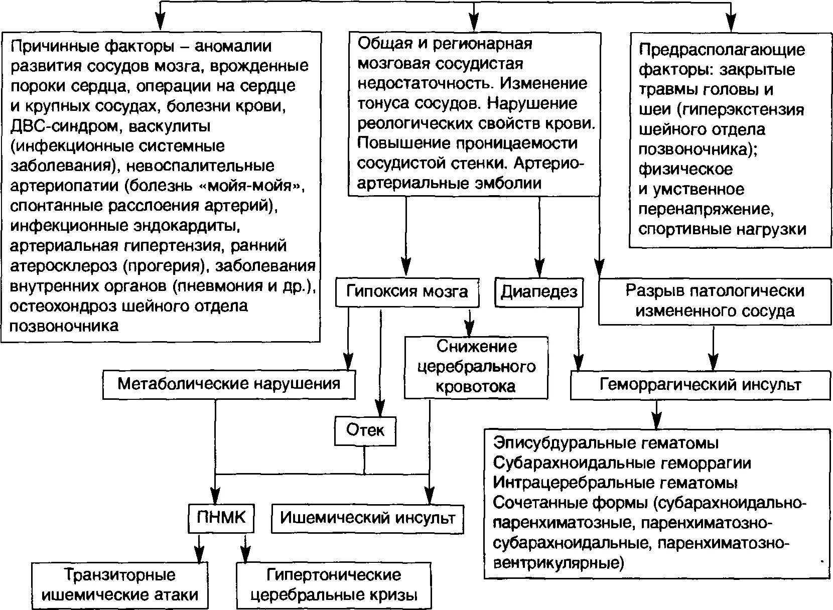 Классификация мозгового кровообращения. Классификация мозгового кровообращения