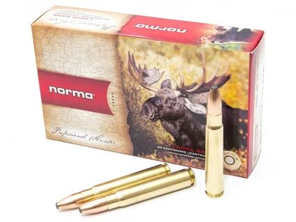 Norma oryx
