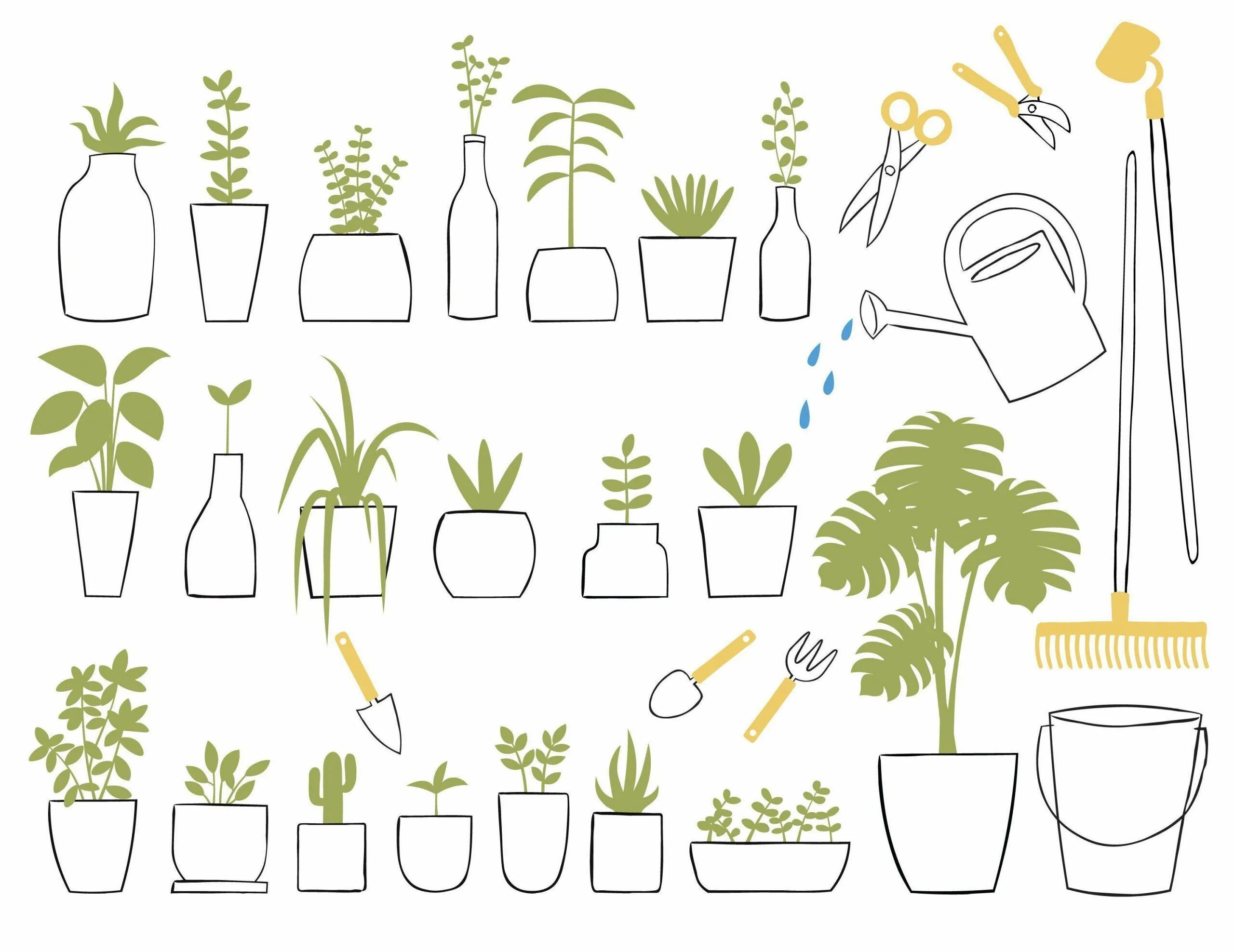Simply plants. Комнатные растения вектор. Растения рисунок. Дудлы растения. Дудлы растения простые.