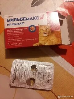 После приема мильбемакс