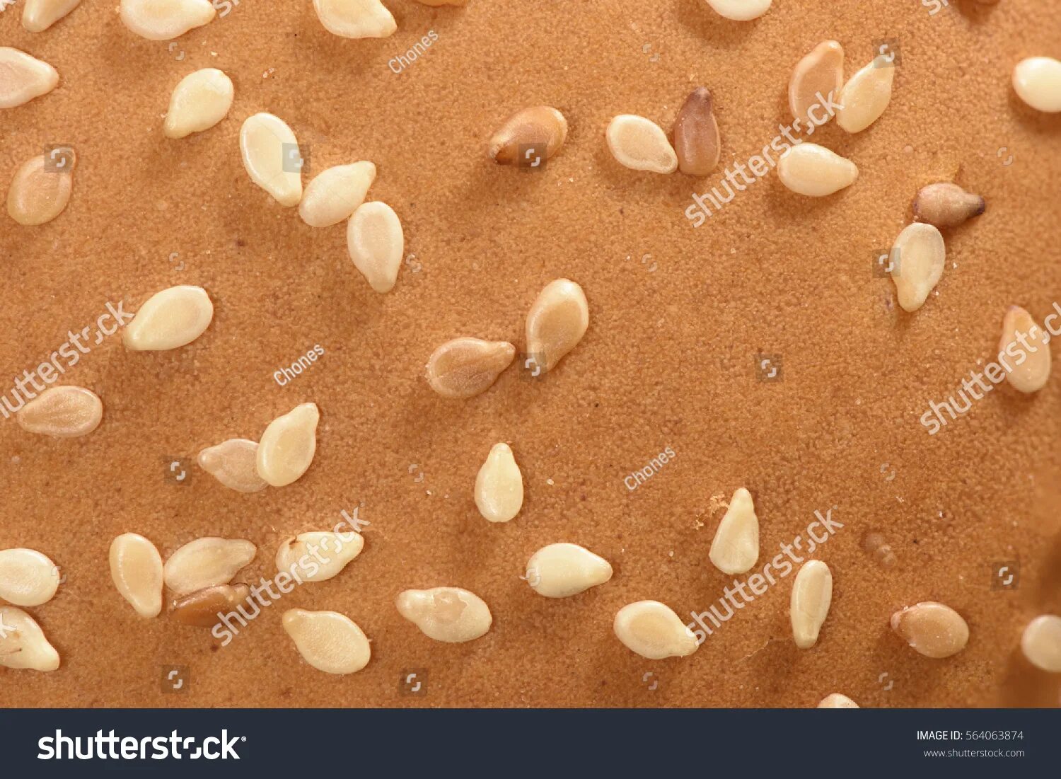 Яйца глистов похожие на кунжут. Маленькие зернышки в кале. Личинки похожие на семена. Яблоня лесная семена. Семечки в кале.